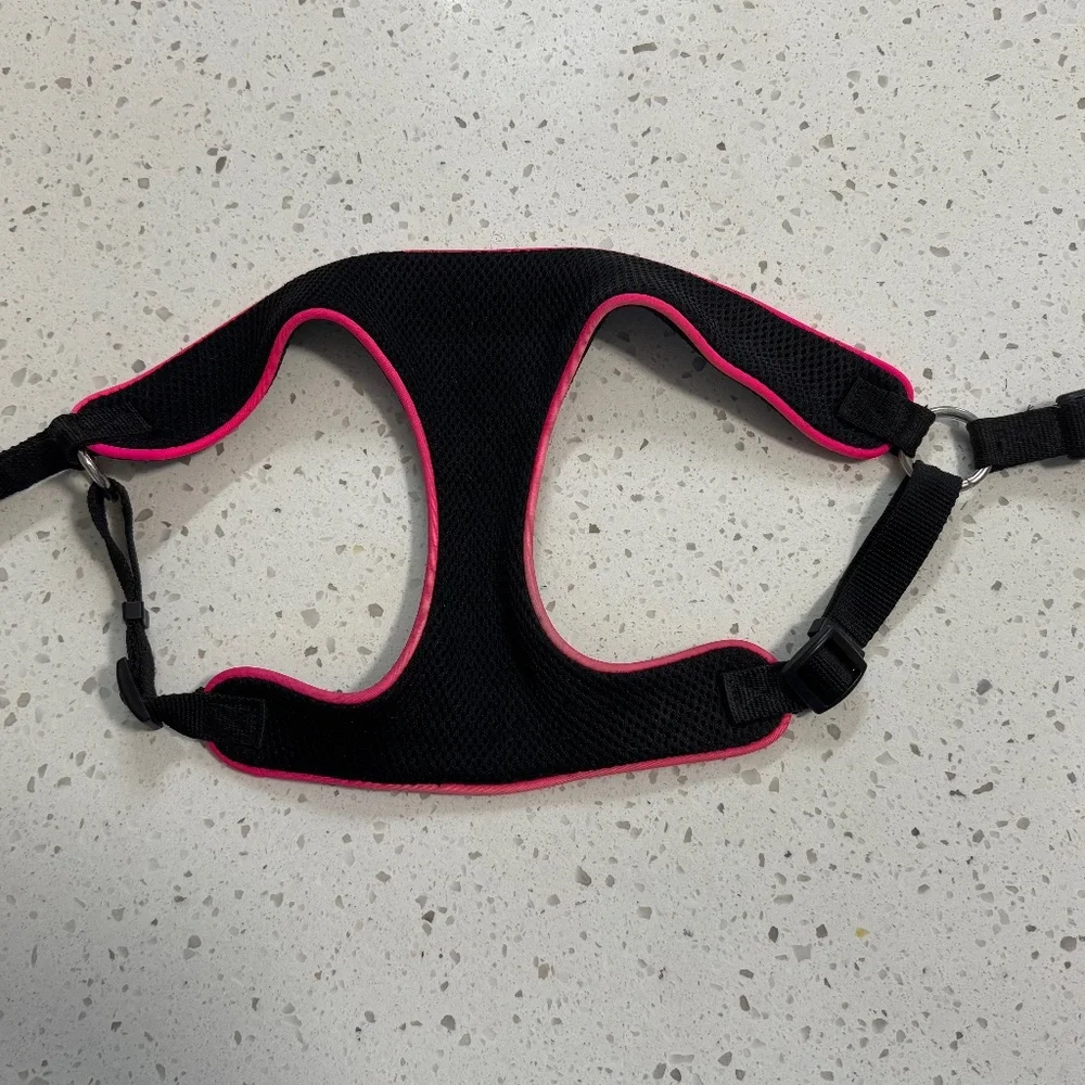 Black Dog Harness